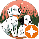 Michel berrot Michel berrot