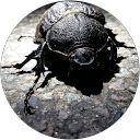 Guillaume.D Guillaume.D