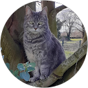 Philippe Bouché Philippe Bouché